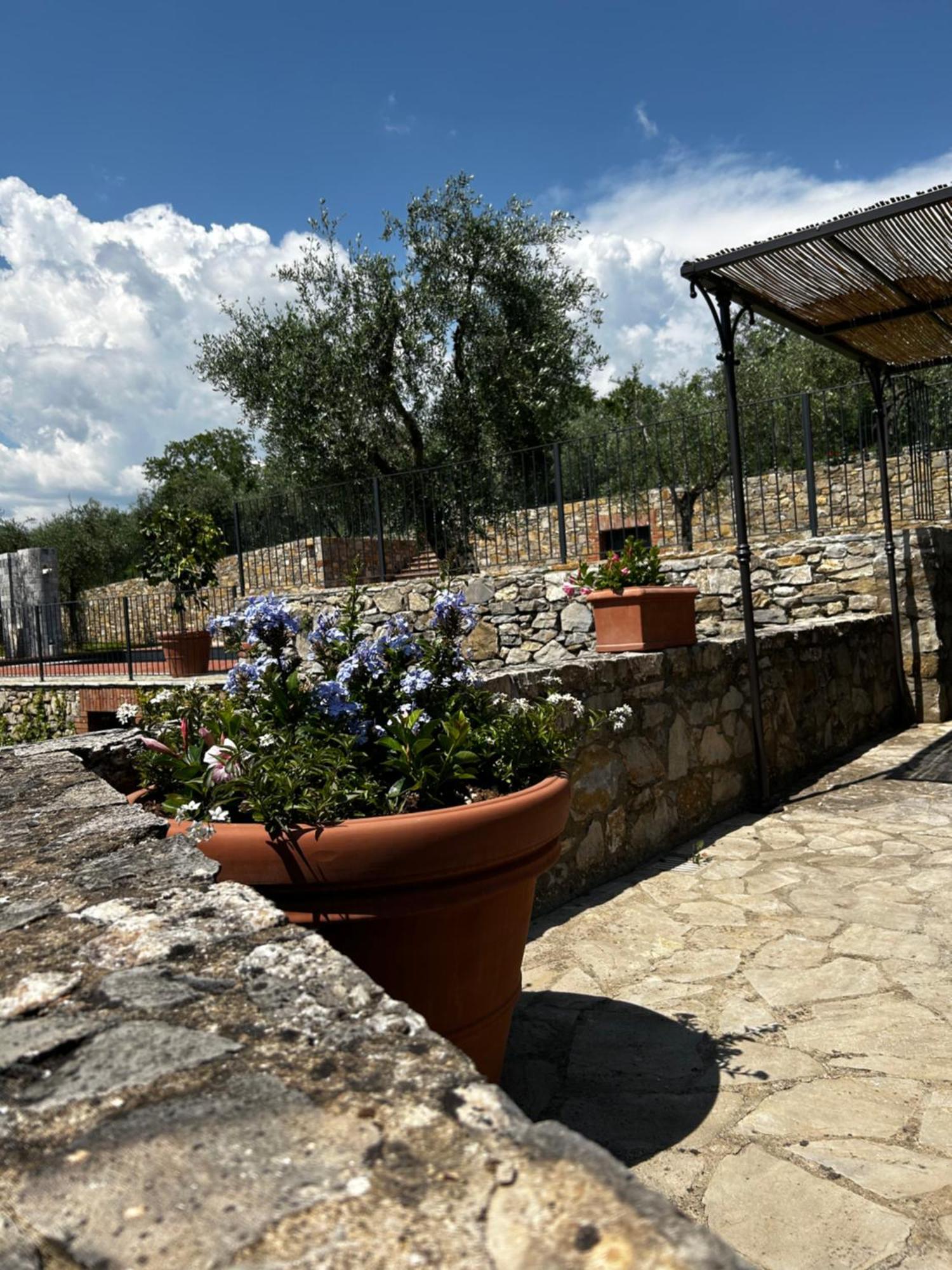 Borgo A Monti Di Sotto Villa Gaiole in Chianti Dış mekan fotoğraf
